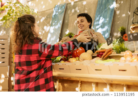 Young female shopper holding cardboard box with organic locally grown fruits and vegetables. Smiling vendor with apron selling healthy natural veggies at local farmers market. 113951195
