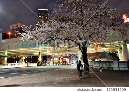 Somei-Yoshino cherry blossoms blooming in Nihonbashi Somei-Yoshino cherry blossoms blooming in Nihonbashi 113951209