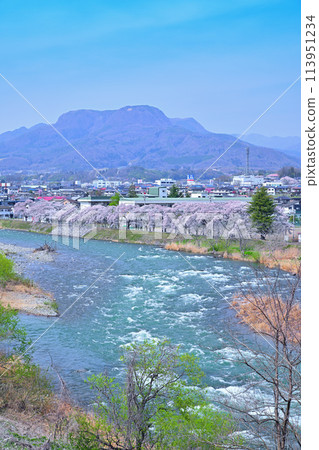沼田市，急流的利根川和盛開的櫻花樹，三峰山，鷺岸大橋附近的風景 113951234