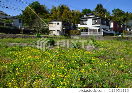 即將建屋的休耕地目前狀況如何? 即將建屋的休耕地目前狀況如何? 113951313