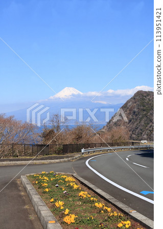 初春的靜謐富士山和伊豆 113951421