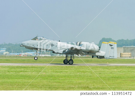 美國空軍 A-10A Thunderbolt II 著陸 美國空軍 A-10A Thunderbolt II 著陸 113951472
