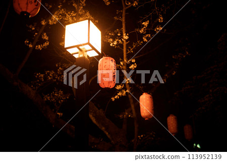 千葉城櫻花節 113952139