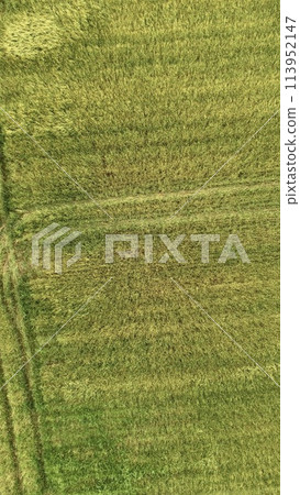 A shot of lush grassland-drone from below in the sky (Hokkaido Shari-gun, Shari-cho) 113952147