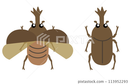 Set of beetles 113952293
