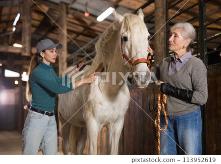 Two women caring for a white horse - brushing sides 113952619
