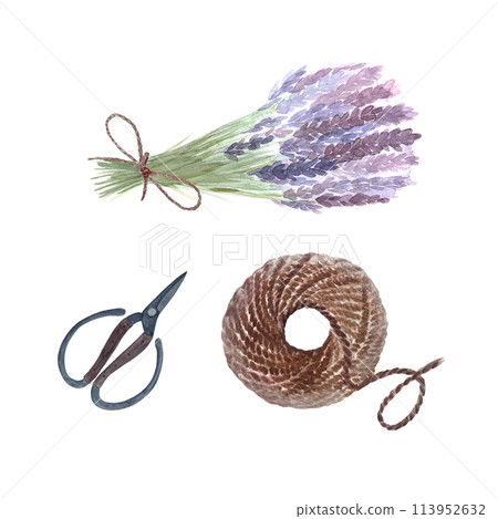 Lavender bunch purple flowers tied with a string, scissors and rope isolated on white. Hand painted watercolor. High quality art great for flower, gift shop, cards, hobby, craft guides and herbalism Lavender bunch purple flowers tied with a string, scissors and rope isolated on white. Hand painted watercolor. High quality art great for flower, gift shop, cards, hobby, craft guides and herbalism 113952632