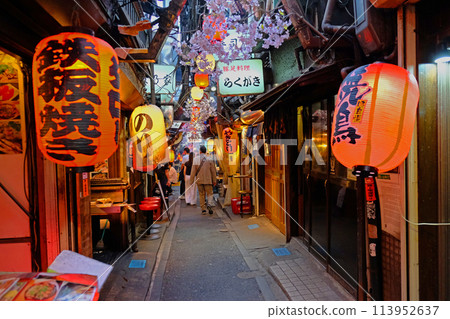 Shinjuku Nishiguchi Memory Yokocho Shinjuku Nishiguchi Memory Yokocho 113952637