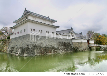 Sunpu Castle, Tatsumi Tower, and Sunpu Castle Park (Shizuoka City, Shizuoka Prefecture) 113952772