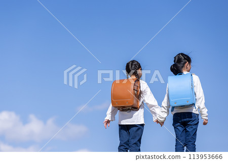 Back view of a girl carrying a school bag Back view of a girl carrying a school bag 113953666