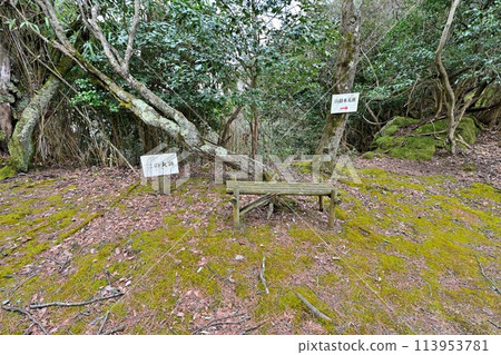 豐臣秀吉攻陷鳥取城時倒下的因幡國“景石城跡” 113953781