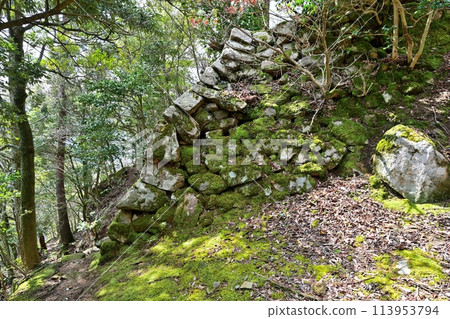 The ruins of Kageishi Castle in Inaba Province, which Hideyoshi captured during his attack on Tottori Castle The ruins of Kageishi Castle in Inaba Province, which Hideyoshi captured during his attack on Tottori Castle 113953794