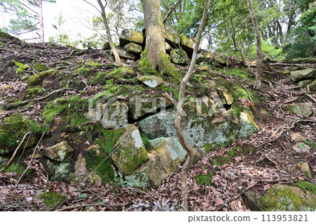 The ruins of Kageishi Castle in Inaba Province, which Hideyoshi captured during his attack on Tottori Castle The ruins of Kageishi Castle in Inaba Province, which Hideyoshi captured during his attack on Tottori Castle 113953821