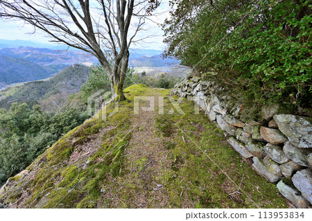 The ruins of Kageishi Castle in Inaba Province, which Hideyoshi captured during his attack on Tottori Castle 113953834