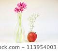 Gerbera and apple 113954003
