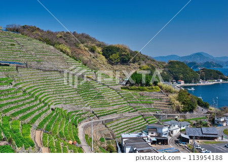 Stage field of Yuuko Water loadpour Stage field of Yuuko Water loadpour 113954188