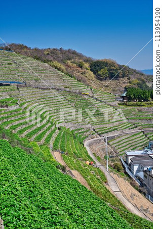 Yuuko Water loadpour的舞台場 Yuuko Water loadpour的舞台場 113954190