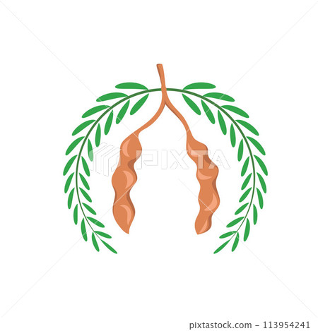 tamarind icon vector element concept design template 113954241