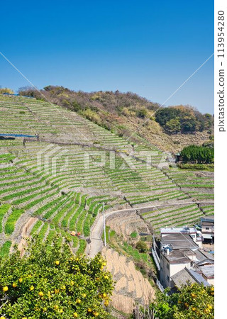 Stage field of Yuuko Water loadpour Stage field of Yuuko Water loadpour 113954280