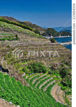 Stage field of Yuuko Water loadpour Stage field of Yuuko Water loadpour 113954334