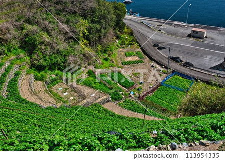 Stage field of Yuuko Water loadpour Stage field of Yuuko Water loadpour 113954335