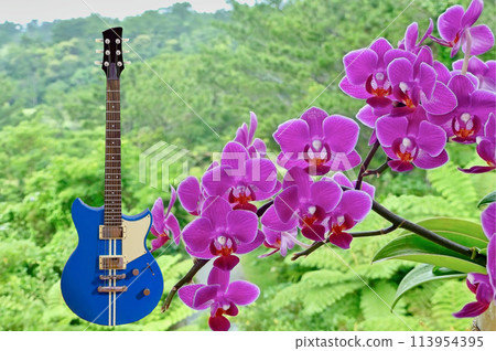 Flowers and guitar 113954395