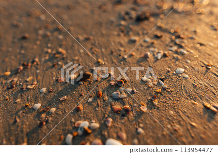 Beach and sea waves in the evening before sunset 113954477