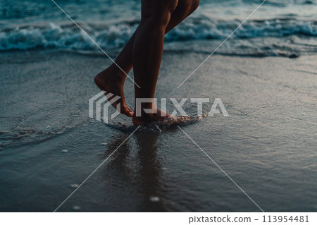 Walking on the beach in the evening 113954481