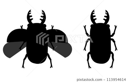 鍬蟲剪影集 113954614