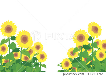 Sunflower field image illustration 113954764