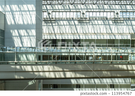 office building  113954767