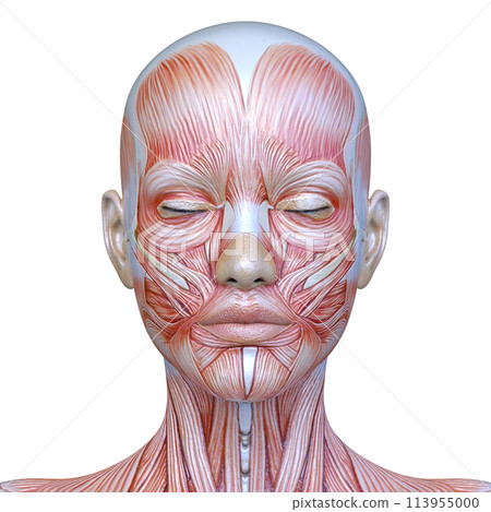 Close-up of a woman's face 113955000