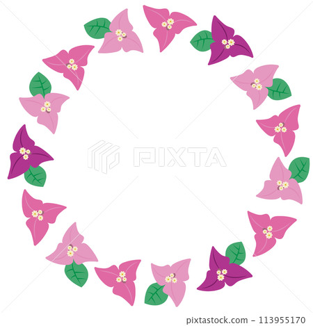 Bougainvillea circular frame material 113955170