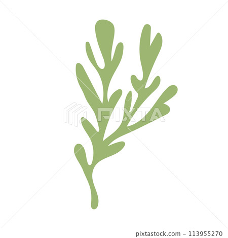 Algae. Underwater life. Abstract Seaweed Shape. Aesthetic Element. 113955270