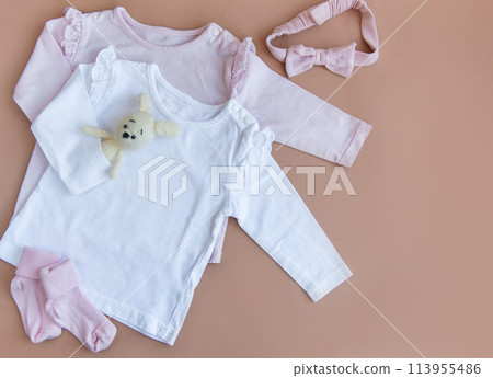 Set of pink clothes and accessories for newborn baby. Knitted toys rabbit and dog, romper, socks and handband Set of pink clothes and accessories for newborn baby. Knitted toys rabbit and dog, romper, socks and handband 113955486