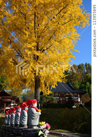 Ginkgo tree at Chofukuji Temple Ginkgo tree at Chofukuji Temple 113955695