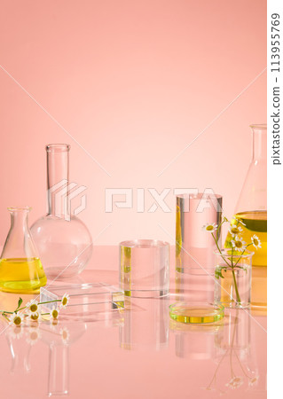 Front view of laboratory scene with a group of lab glassware, boiling flask, erlenmeyer flask and empty podium to feature product from feverfew flower. Blank space for text 113955769