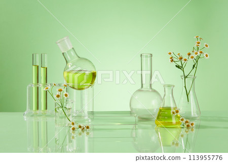 A front view of rectangle transparent podium, boiling flask, beaker, flask decorated with feverfew flower on fresh green background with blank space for advertising A front view of rectangle transparent podium, boiling flask, beaker, flask decorated with feverfew flower on fresh green background with blank space for advertising 113955776
