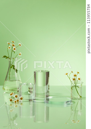 Minimal laboratory theme with round empty podium, feverfew flowers and few lab glassware on pastel green background. Front view, advertising photo 113955784