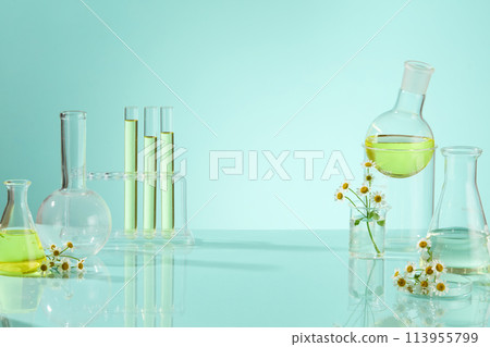 Lab theme with a set of laboratory instruments such as test tube, boiling flask, beaker, erlenmeyer flask decorated by some daisy flower branches on light blue background. Empty space for presenting p 113955799