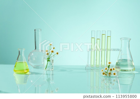 A few test tube filled by bright yellow liquid, erlenmeyer flask and boiling flask are have transparent fluid in. Laboratory concept for cosmetic research or product make from daisy extract 113955800