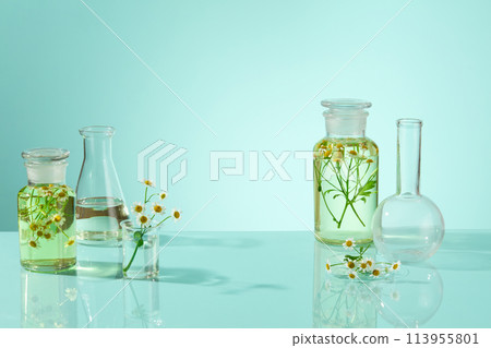 Daisy Flower extract is contained in transparent bottle with some flower inside. Decorated by erlenmeyer flask and boiling flask on fresh blue background. For advertising medicine, organic products, b 113955801