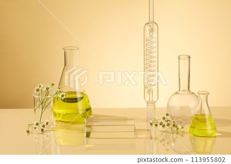 Lab glassware concept and decorated with beautiful tanacetum parthenium. Spiral Reflux Condenser, boiling flask, erlenmeyer flask and transparent podium for present product. Space for display natural  113955802