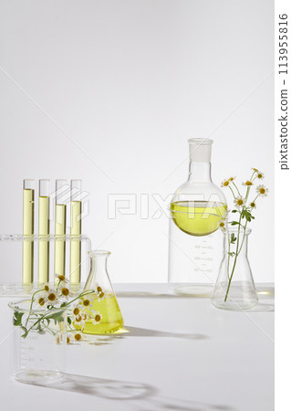 Laboratory flasks of daisy liquid extract, transparent glass and beaker with blank space in white background. Daisy Flower Oil used on its own is a wonderfully scented can use as a carrier for making  Laboratory flasks of daisy liquid extract, transparent glass and beaker with blank space in white background. Daisy Flower Oil used on its own is a wonderfully scented can use as a carrier for making  113955816