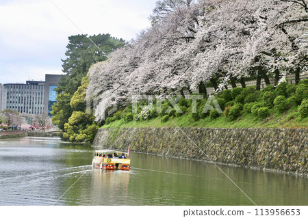 駿府城、遊覽船、葵船、駿府城公園(靜岡縣靜岡市) 駿府城、遊覽船、葵船、駿府城公園(靜岡縣靜岡市) 113956653