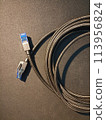 Cat8 Cable Network connect isolate on Black Background 113956824