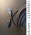 Cat8 Cable Network connect isolate on Black Background 113956825