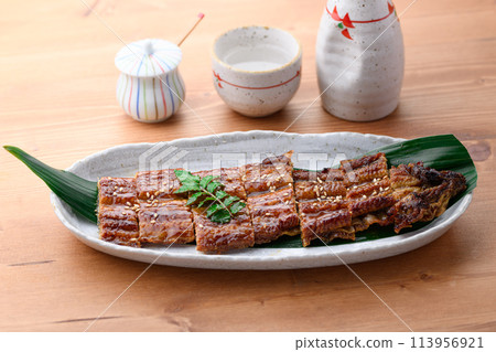 Grilled sliced eel - Doyo no Ushi 113956921