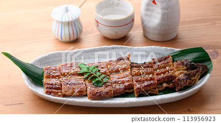 Grilled sliced eel - Doyo no Ushi Grilled sliced eel - Doyo no Ushi 113956923