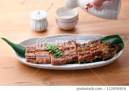Grilled sliced eel - Doyo no Ushi 113956924